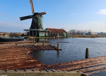 Willem 153